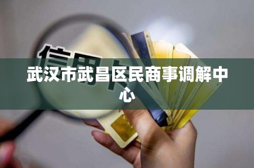 武汉市武昌区民商事调解中心