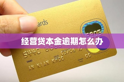 经营贷本金逾期怎么办