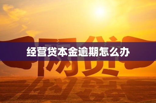 经营贷本金逾期怎么办