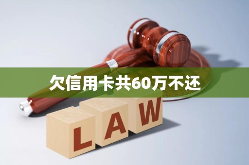 欠信用卡共60万不还