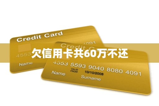 欠信用卡共60万不还