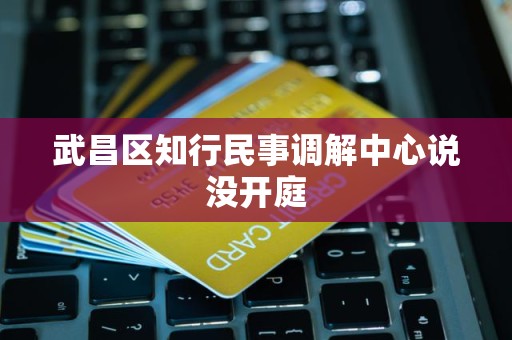 武昌区知行民事调解中心说没开庭