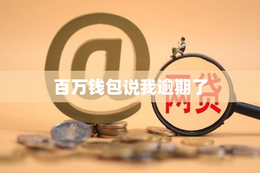 百万钱包说我逾期了