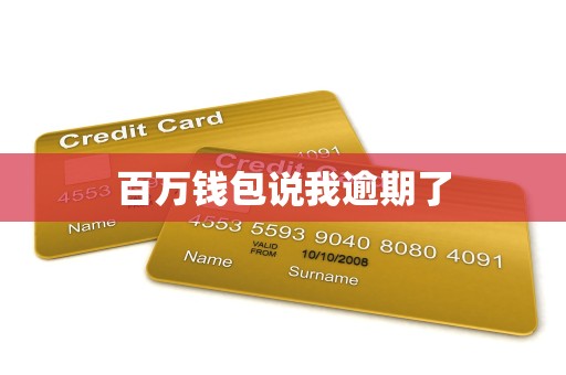 百万钱包说我逾期了