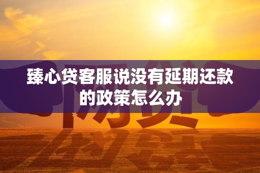 臻心贷客服说没有延期还款的政策怎么办