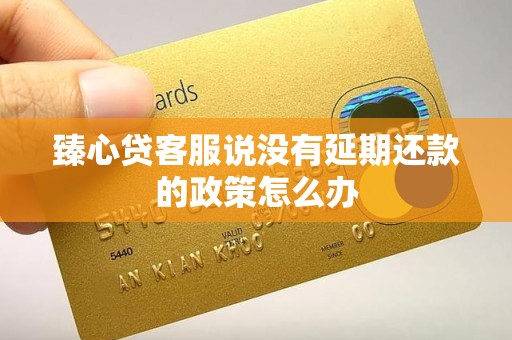 臻心贷客服说没有延期还款的政策怎么办
