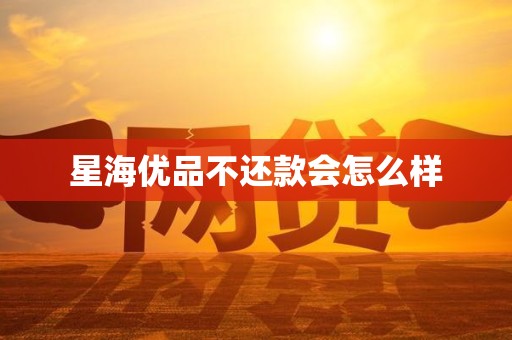 星海优品不还款会怎么样