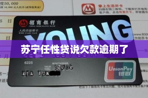 苏宁任性贷说欠款逾期了