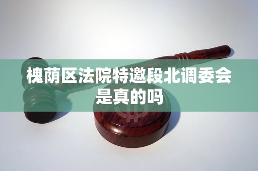 槐荫区法院特邀段北调委会是真的吗