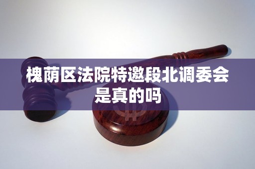 槐荫区法院特邀段北调委会是真的吗