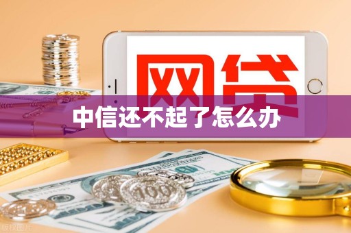 中信还不起了怎么办