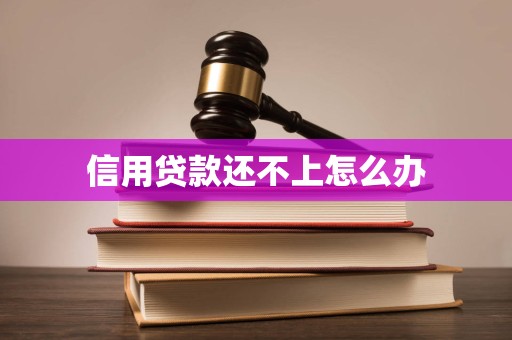 信用贷款还不上怎么办