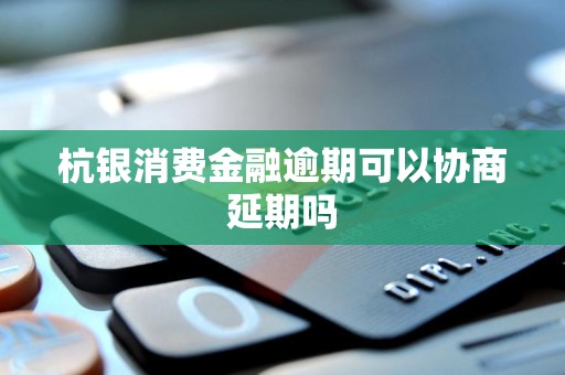 杭银消费金融逾期可以协商延期吗