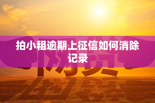 拍小租逾期上征信如何消除记录