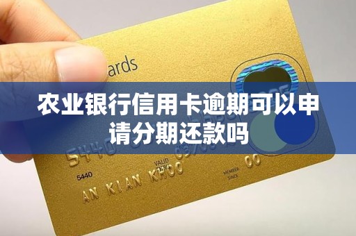 农业银行信用卡逾期可以申请分期还款吗