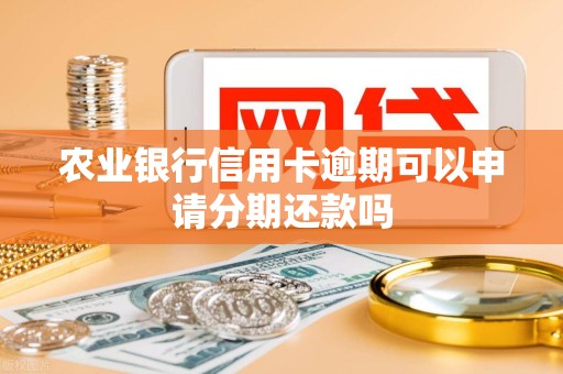 农业银行信用卡逾期可以申请分期还款吗