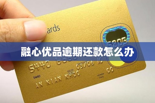 融心优品逾期还款怎么办