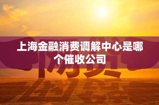 上海金融消费调解中心是哪个催收公司