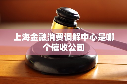 上海金融消费调解中心是哪个催收公司