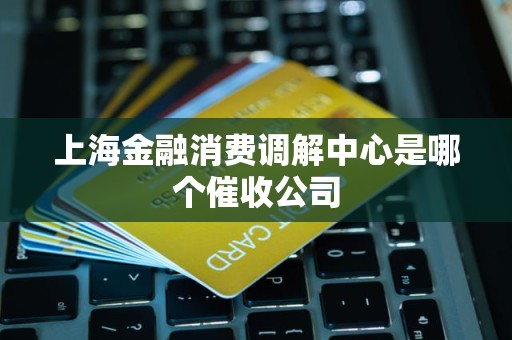上海金融消费调解中心是哪个催收公司