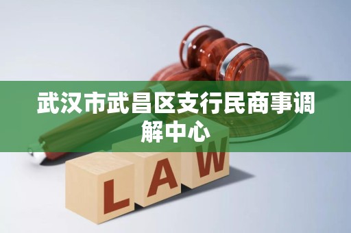 武汉市武昌区支行民商事调解中心 武汉市武昌区支行民商事调解中心