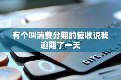 有个叫消费分期的催收说我逾期了一天