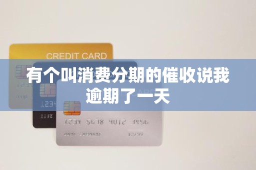 有个叫消费分期的催收说我逾期了一天