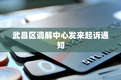 武昌区调解中心发来起诉通知