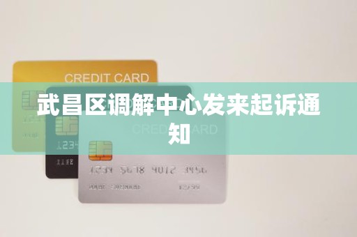 武昌区调解中心发来起诉通知
