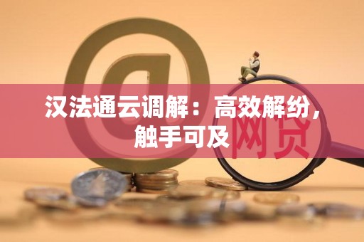 汉法通云调解：高效解纷，触手可及