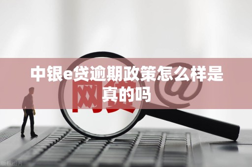 中银e贷逾期政策怎么样是真的吗