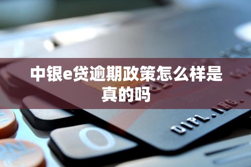 中银e贷逾期政策怎么样是真的吗