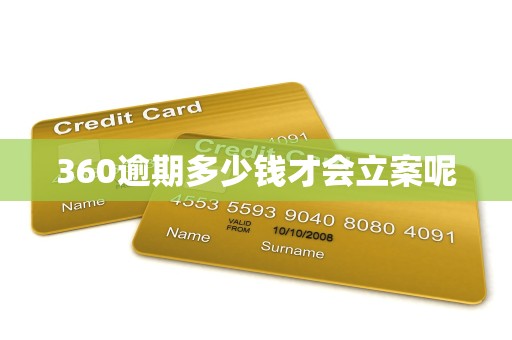 360逾期多少钱才会立案呢