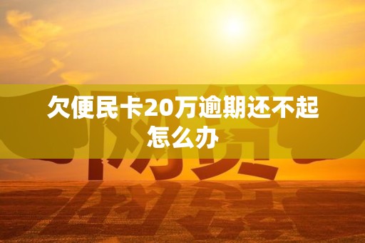 欠便民卡20万逾期还不起怎么办 欠便民卡20万逾期还不起怎么办