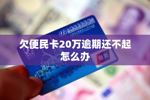 欠便民卡20万逾期还不起怎么办 欠便民卡20万逾期还不起怎么办