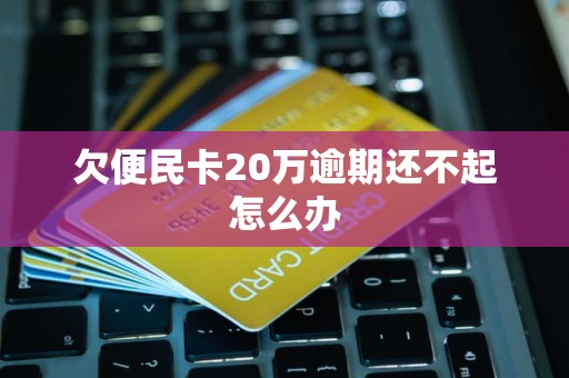 欠便民卡20万逾期还不起怎么办 欠便民卡20万逾期还不起怎么办