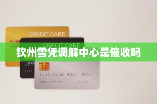钦州雪凭调解中心是催收吗