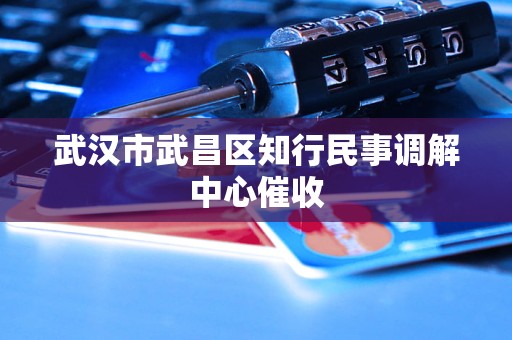 武汉市武昌区知行民事调解中心催收