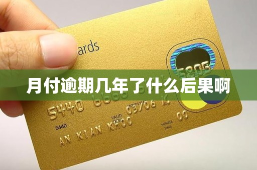 月付逾期几年了什么后果啊