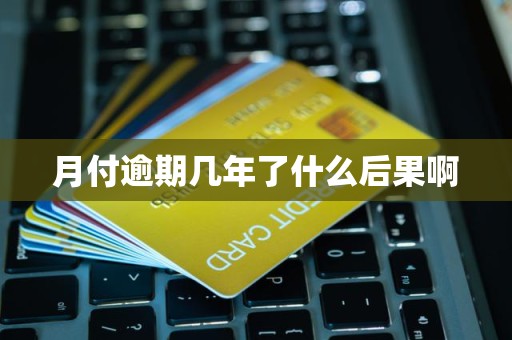 月付逾期几年了什么后果啊