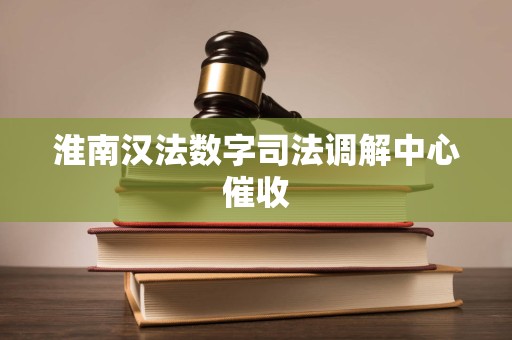 淮南汉法数字司法调解中心催收