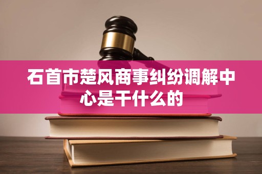 石首市楚风商事纠纷调解中心是干什么的