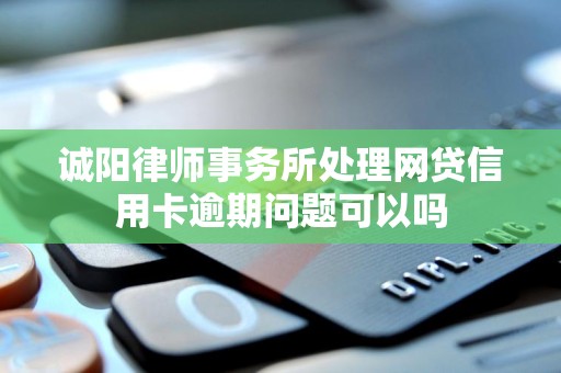 诚阳律师事务所处理网贷信用卡逾期问题可以吗