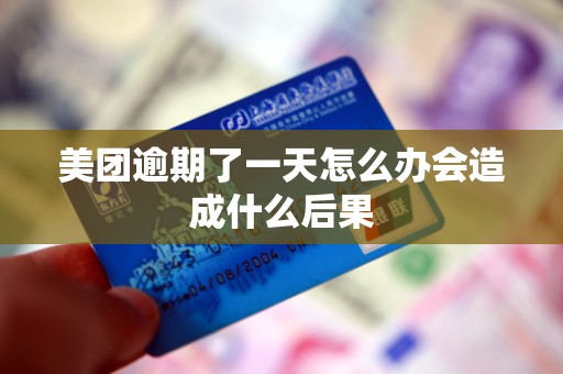美团逾期了一天怎么办会造成什么后果