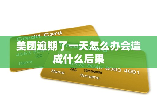 美团逾期了一天怎么办会造成什么后果