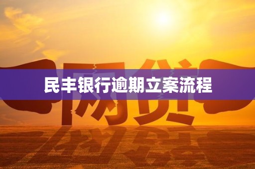 民丰银行逾期立案流程 民丰银行逾期立案流程