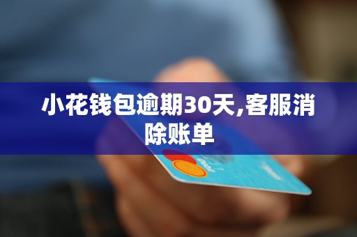 小花钱包逾期30天,客服消除账单