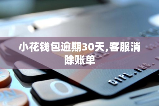 小花钱包逾期30天,客服消除账单