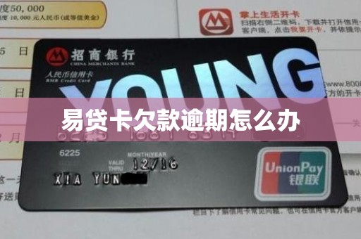 易贷卡欠款逾期怎么办