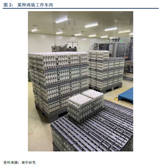 _河北鸡蛋生产基地_河北鸡蛋产量占比